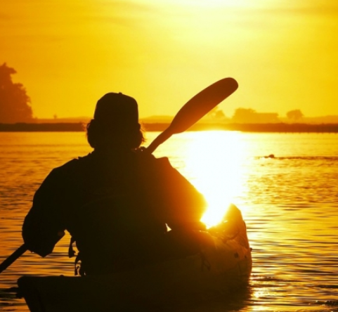sunset kayak tour elkhorn slough